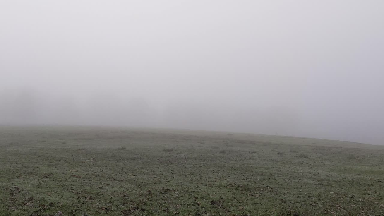 배경 영국 4k에서 방황하는 어두운 유령 그림과 함께 들판에 빈 으스스한 안개 낀 안개