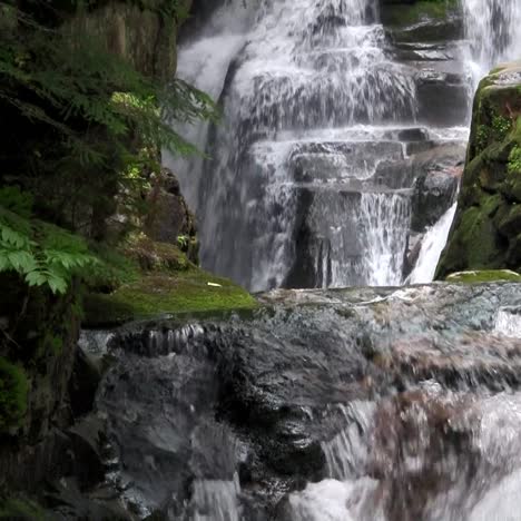 Beautiful-waterfall-near-Fortuna-Costa-Rica-7