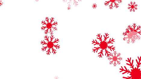 animación digital de múltiples iconos de copos de nieve rojos que caen contra un fondo blanco