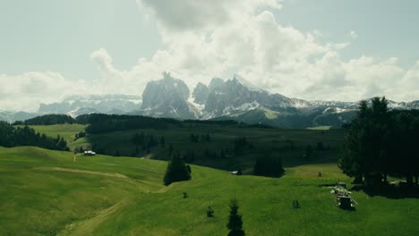 alpine meadow and mountain range