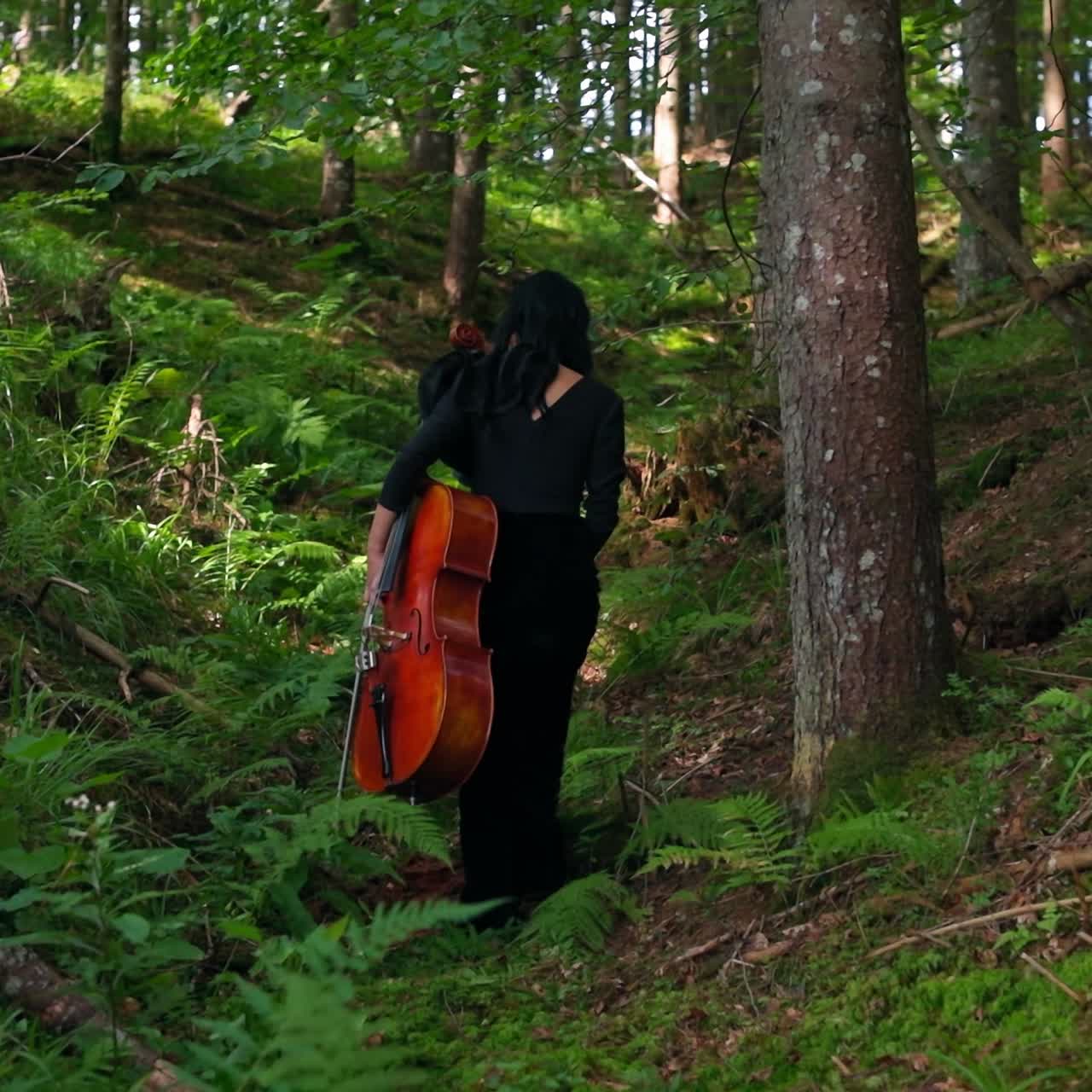 Young woman with cello in woods. Back view of a musician in long black dress walking in the forest. Musical instrument in female's hand on nature background.