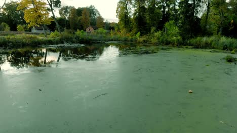 old wooden footbridge over a small pond, green pond in the middle of the village, around greenery and rural landscape, aerial footage over pond