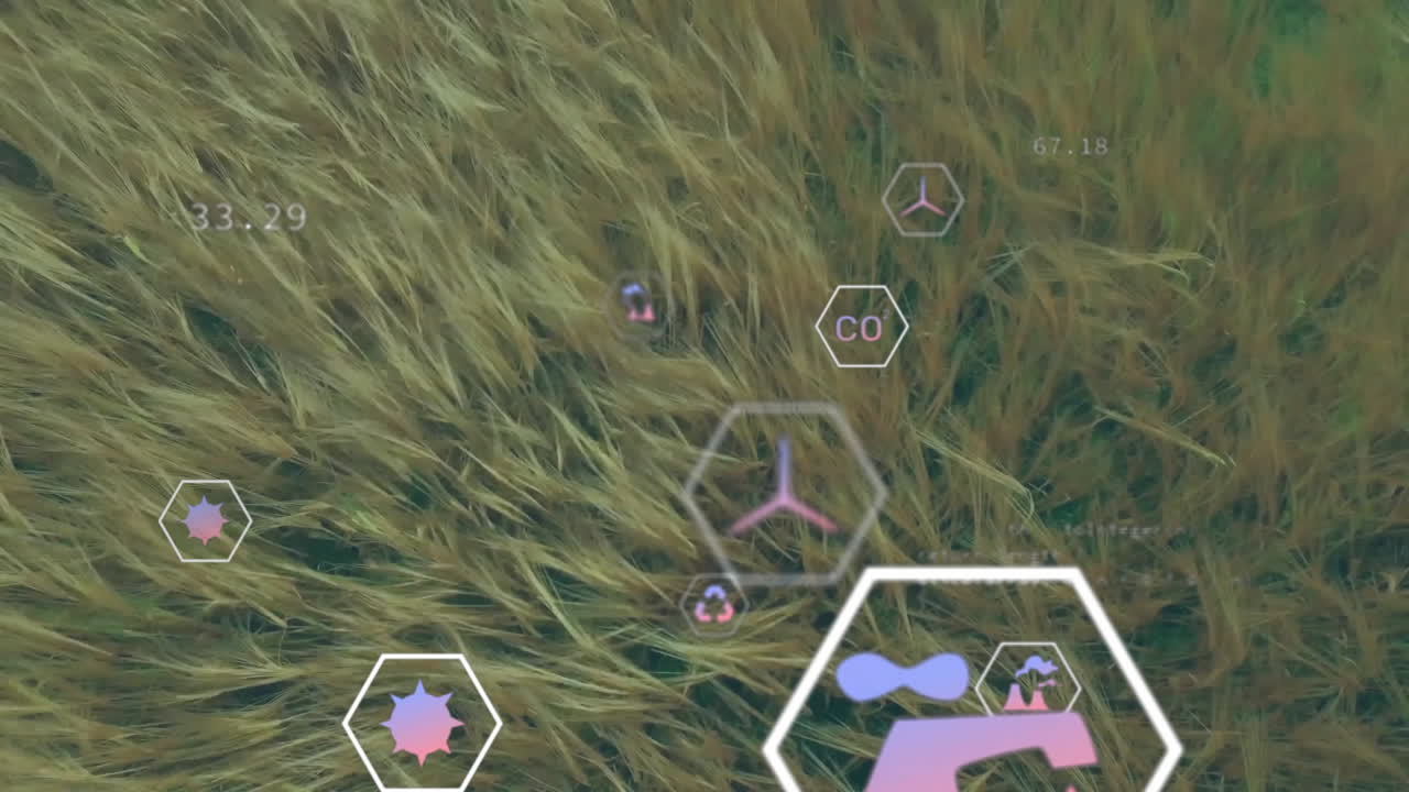 농촌 농지에서 생태 아이콘의 애니메이션과 데이터 처리