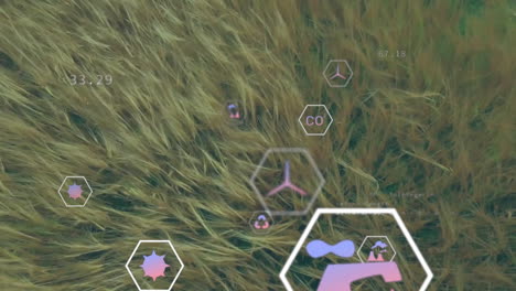 animación de iconos ecológicos y procesamiento de datos sobre tierras de cultivo rurales