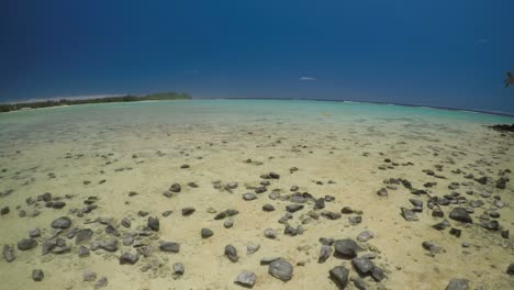 muri lagoon rarotonga cook islands