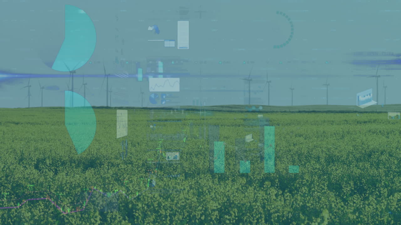 Yellow flower field reaching horizon while wind turbines spinning and data overlay drifting