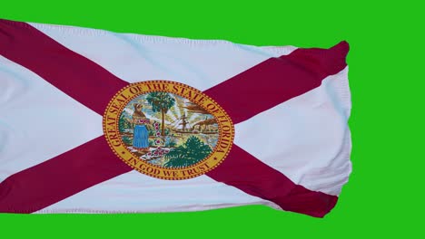 bandera de florida en pantalla verde. perfecto para su propio fondo usando pantalla verde. renderización 3d