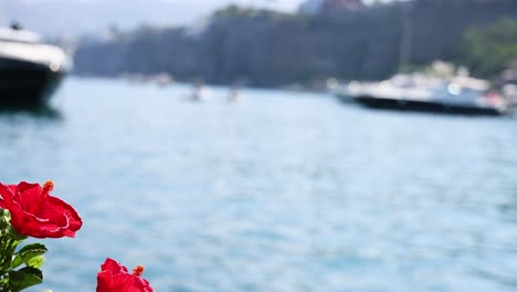 red flowers with blurred boats in background