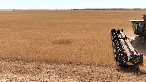 this footage captures the synergy of modern agricultural technology, showcasing the essential role of header fronts in the wheat harvesting process