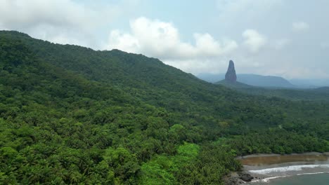 flying over the forest towards pico cão grande mountain, at a sunny day, in south of são tomé,africa