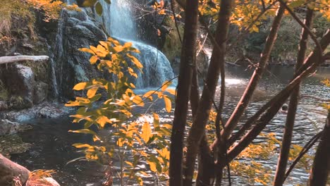 waterfall in the forest in new zealand