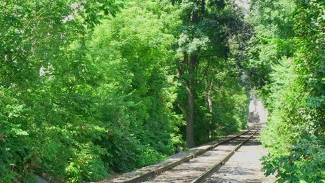 View-of-An-Antique-Steam-Passenger-Train-Blowing-Smoke-and-Passing-Close-Up-While-Traveling-Thru-Trees