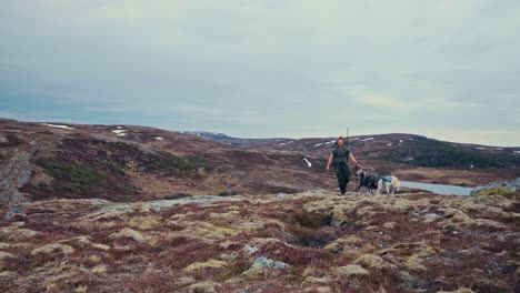 a man with alaskan malamute dogs trekking in the wilderness in norway. static shot