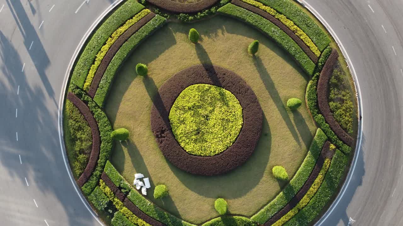 красивый кольцо, засаженный деревом.