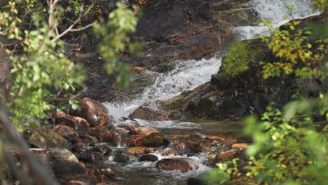 the shallow mountain steam flows in the rocky riverbed