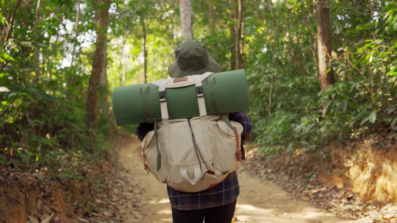 열대우림 정글에서 산책하는 여성: 한 열대우산 자연을 통해 배을 들고 산책하는 소녀 산책자의 뒷면, 여름 날, 태양 효과.