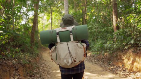 hiking woman walk in rainforest jungle. rear back view of girl hiker walking with backpack through dense rain forest nature summer day, sun effect.