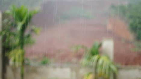 Rainy Day in a Tropical Area