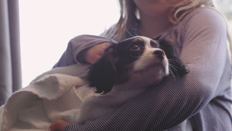 close up shot a of girl drying off her adorable puppy with a towel