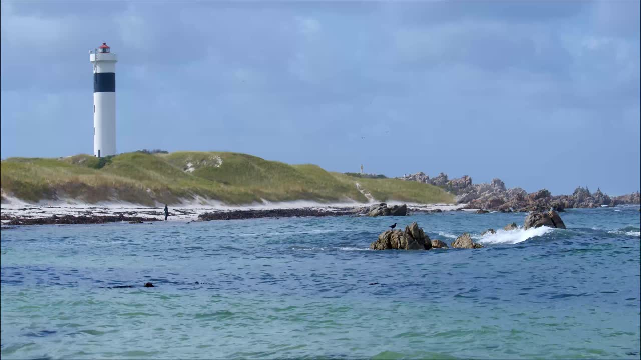 케이프 행클립 등대 근처에서 눈에 보이는 야생동물과 함께 해안선을 따라 다이버