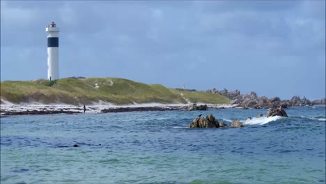 Taucher-An-Der-Küste-Mit-Sichtbarer-Tierwelt-In-Der-Nähe-Des-Leuchtturms-Von-Cape-Hangklip