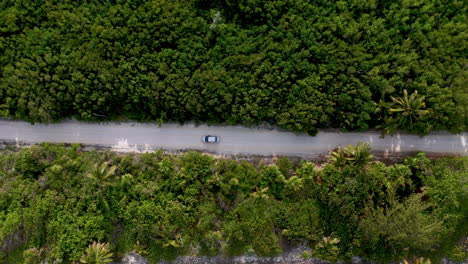 Disparo-De-Drone-En-ángulo-Descendente-De-La-Conducción-De-Automóviles-Cerca-De-Mahahual-México-Con-Un-Denso-Bosque-Tropical-Que-Rodea-La-Carretera