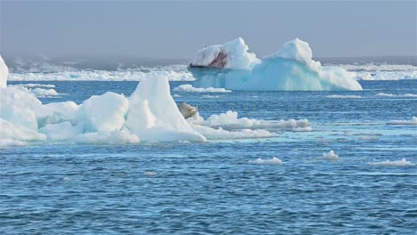 Echtzeit-Fluss-Von-Meereis,-Das-Vorbei-An-Geerdeten-Eisbergen-Im-Spitzbergen-Archipel-Norwegen-Schwimmt