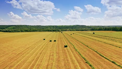 agricultural works in the field on a beautiful countryside outdoors. pressed bales of grass and some tractors in farmland under the blue sky. motion camera forward.