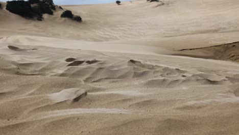 A-close-up-shot-of-wind-blowing-patterns-into-the-sand-on-the-coast