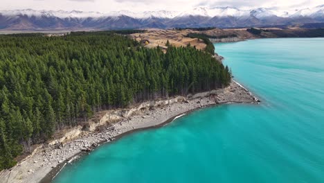 Turquoise-water-of-Lake-Pukaki,-green-forest-and-Southern-Alps-mountains-backdrop,-New-Zealand