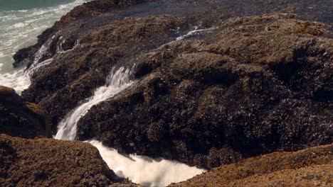 water flowing over barnacle-covered rocks on a rugged coastline during low tide