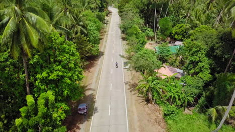 aerial view of motorcycle moving between palm trees in palawan, philippines