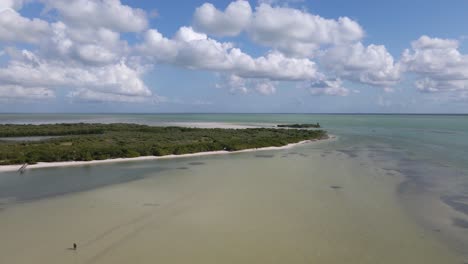 toma de drones de gran angular de donde el manglar se encuentra con el mar caribe frente a la costa de la hermosa isla tropical de holbox durante un caluroso día soleado en méxico filmada en 4k