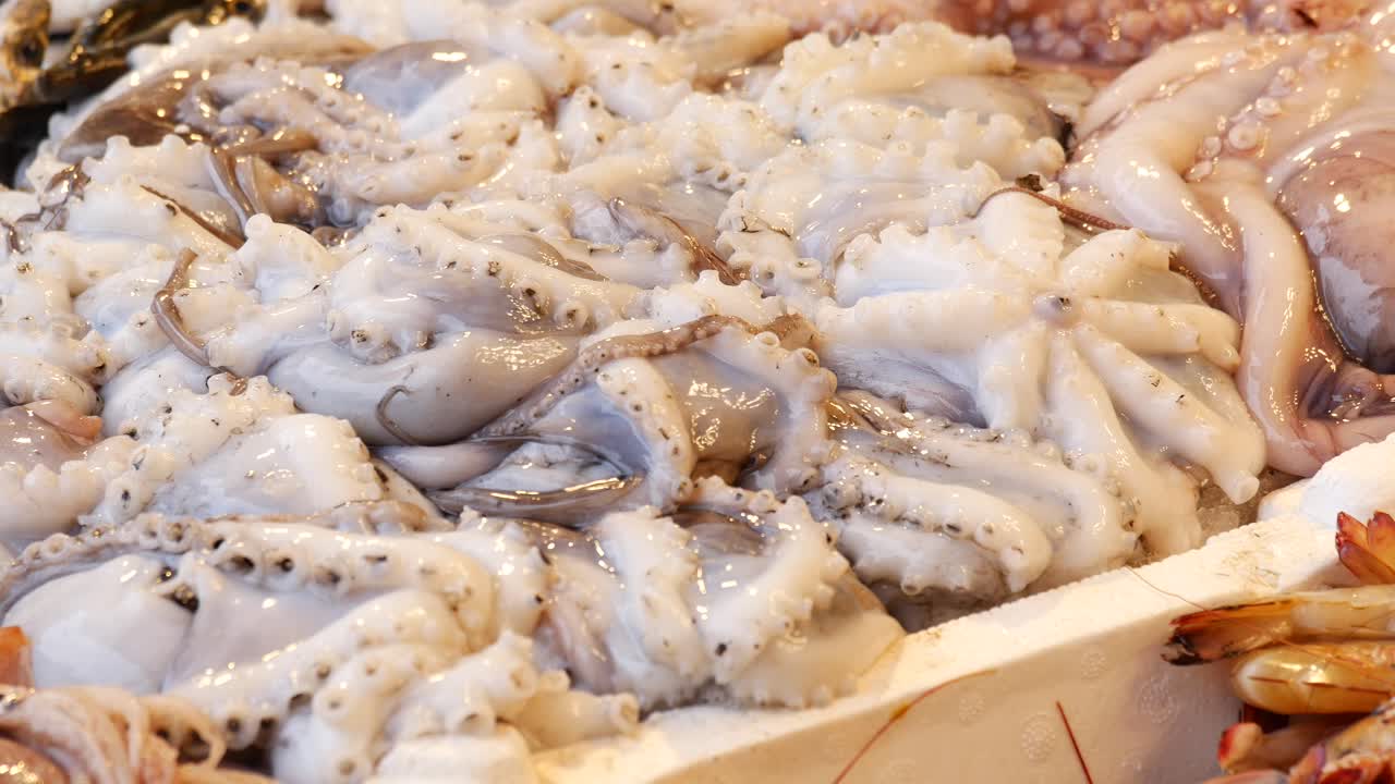 Fresh Octopus and Shrimp at a Seafood Market