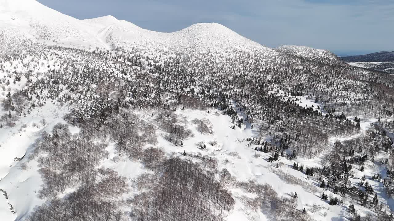 Snowy mountain with snow covered trees in Aomori Japan