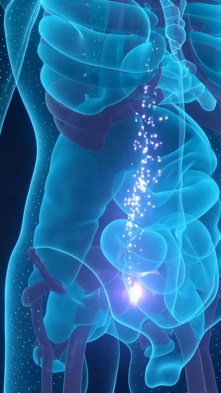 Vertical video: Rotating torso starting stream moving down midline toward pelvic glow, ribs visible