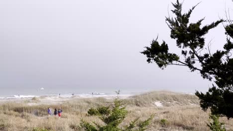 beach-with-cedar-tree-in-foreground-near-beaufort-nc,-north-carolina