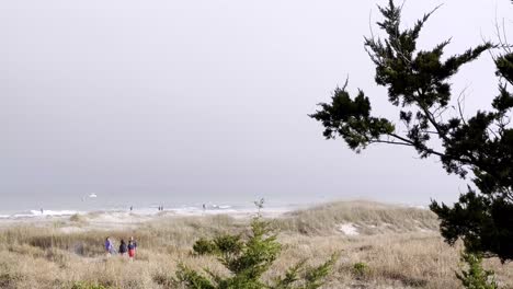 Strand-Mit-Zeder-Im-Vordergrund-In-Der-Nähe-Von-Beaufort,-NC,-North-Carolina