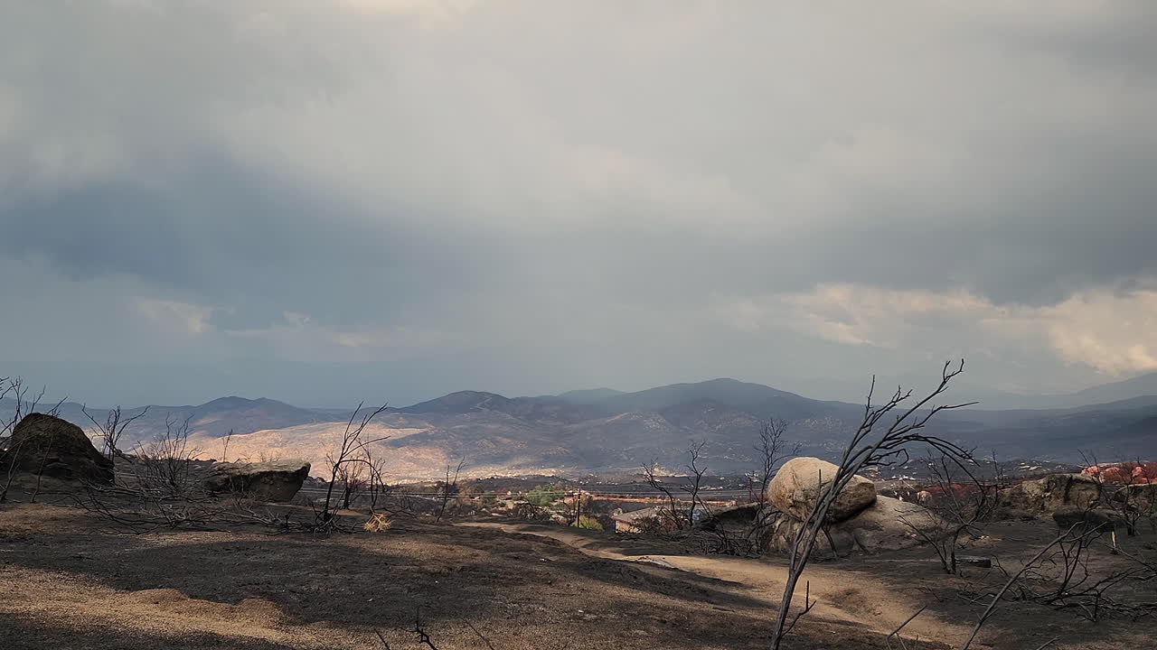 vista de la tierra devastada por el fuego, restos de árboles quemados y hollín en el suelo, lapso de tiempo