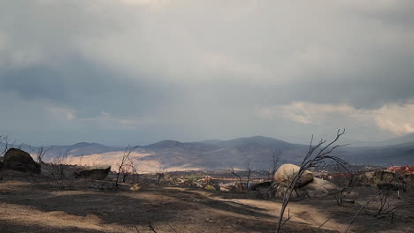 view of the land devastated by fire, remains of burned trees and soot on the ground, time lapse