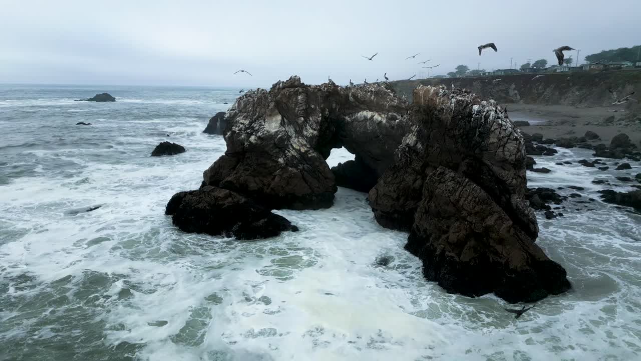 Aerial view of Arched Rock as Sea Birds fly and land on rock, Sonoma County Bodega Bay California