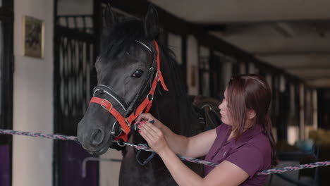 mujer preparando un caballo negro en un establo