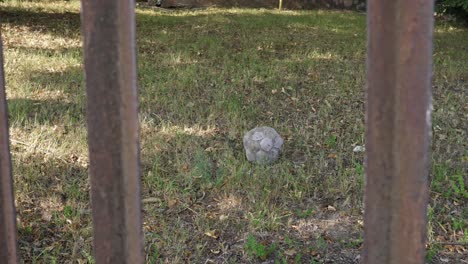 Fútbol-Destruido,-Yace-Solo-En-La-Hierba