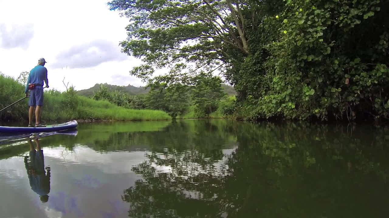 한 남자가 카우아이 하와이에서 강 아래로 패들보드를 젓는다