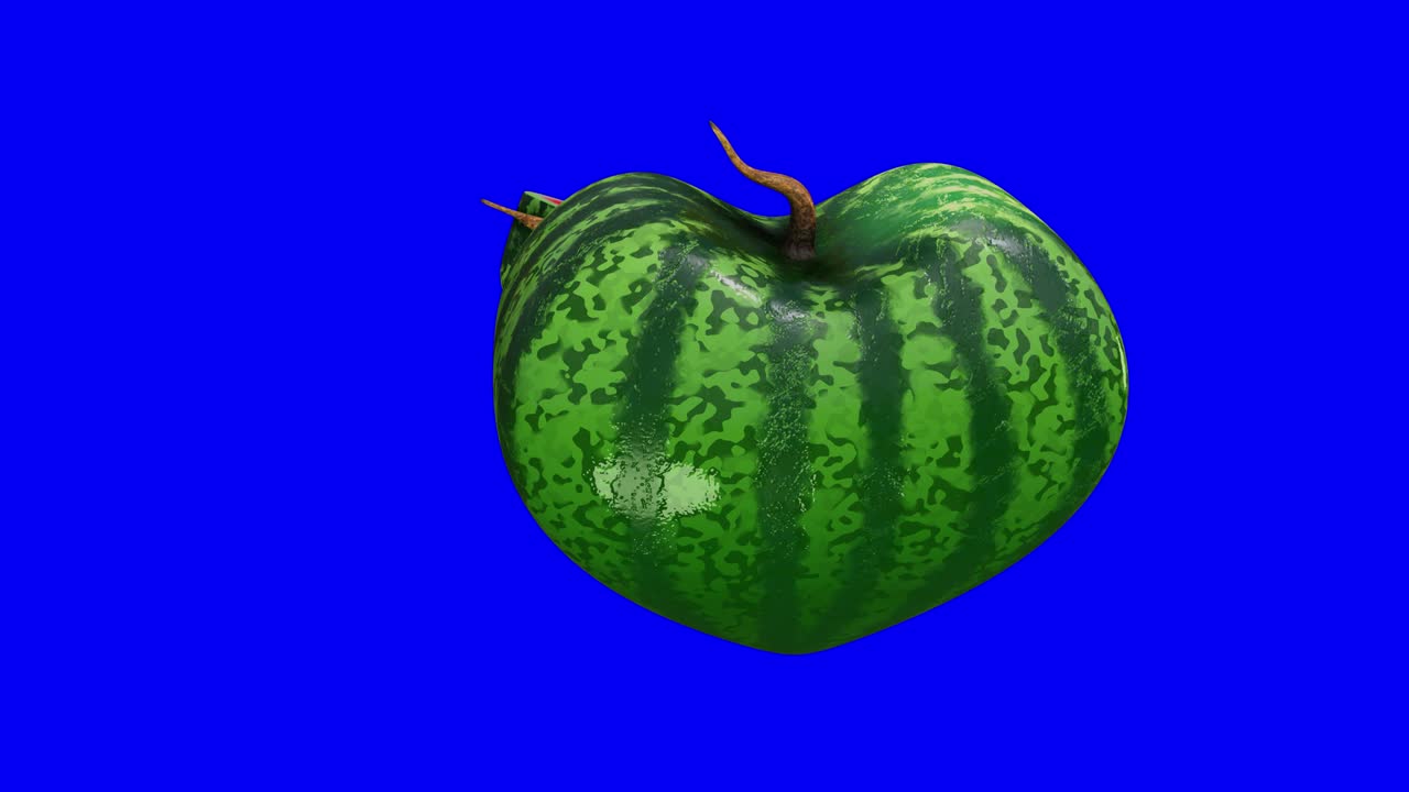 파란 스크린 배경에 고립 된 반 조각과 함께 매운 신선한 익은 심장 모양의 수박의 3d 모션 루핑.