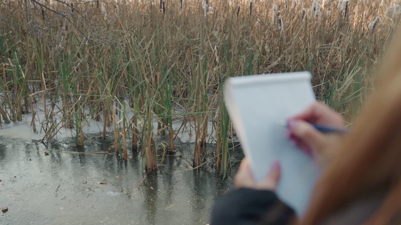 Close up caucasian woman sketching marsh reeds, gentle pencil strokes on notebook, reflective water surface, muted winter light, quiet contemplative mood, observational nature study
