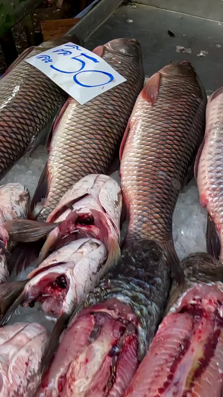 peces variados para la venta en hielo en el mercado
