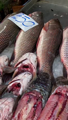 assorted fish for sale on ice at market