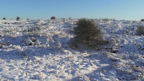 Cubierto-De-Nieve-Rural-Invierno-Campo-árbol-órbita-Empujar-Hacia-La-Izquierda