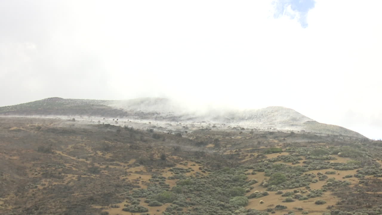 Aerial View of Wildfire-Damaged Landscape